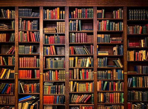 Colorful book covers on a shelf
